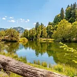 Private Mini Near Gstaad & Interlaken בית נופש צווייזימן