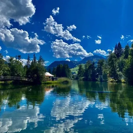 Private Mini Near Gstaad & Interlaken Holiday home