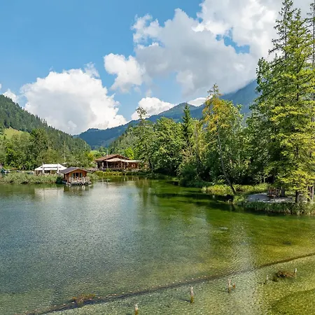 Private Mini Near Gstaad & Interlaken