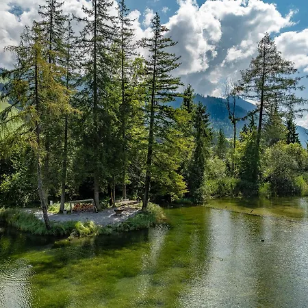 Private Mini Near Gstaad & Interlaken *