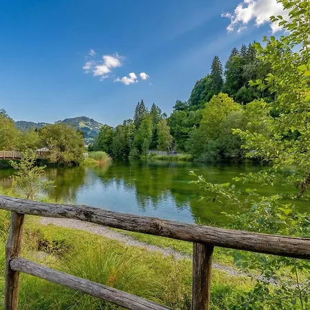 Private Mini Near Gstaad & Interlaken * צווייזימן