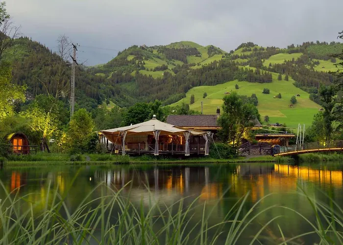 Private Mini Near Gstaad & Interlaken צווייזימן