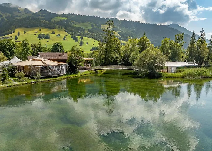 Private Mini Near Gstaad & Interlaken צווייזימן