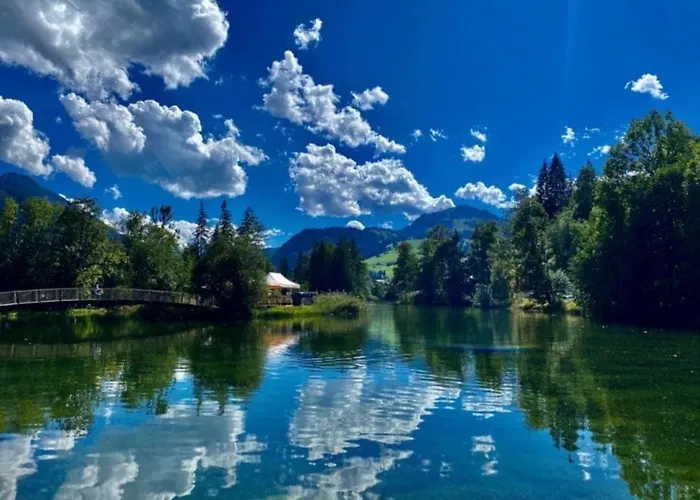 Private Mini Near Gstaad & Interlaken Holiday home