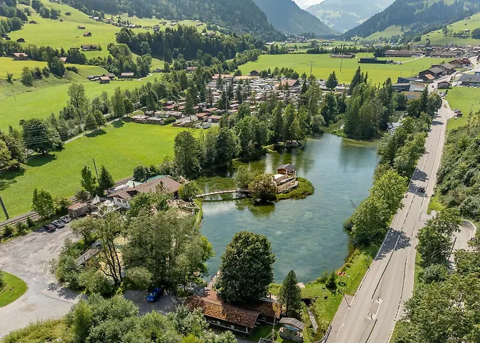 Holiday home Private Mini Near Gstaad & Interlaken *