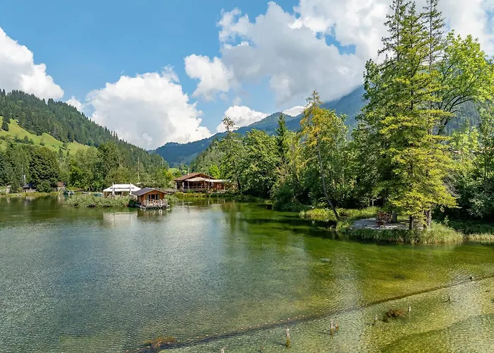 Private Mini Near Gstaad & Interlaken