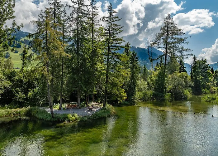 Private Mini Near Gstaad & Interlaken *