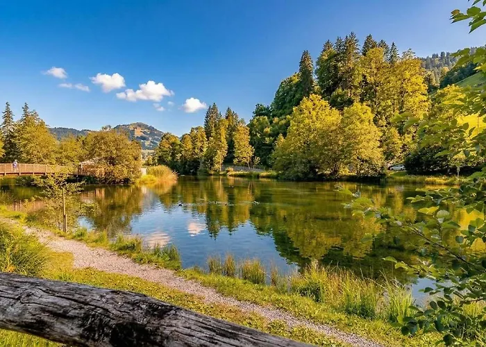 Private Mini Near Gstaad & Interlaken 茨魏西门