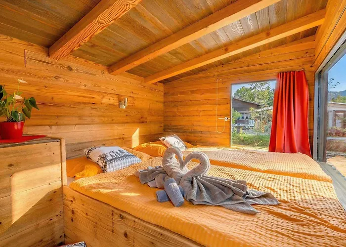 Private Mini Near Gstaad & Interlaken 度假居 *